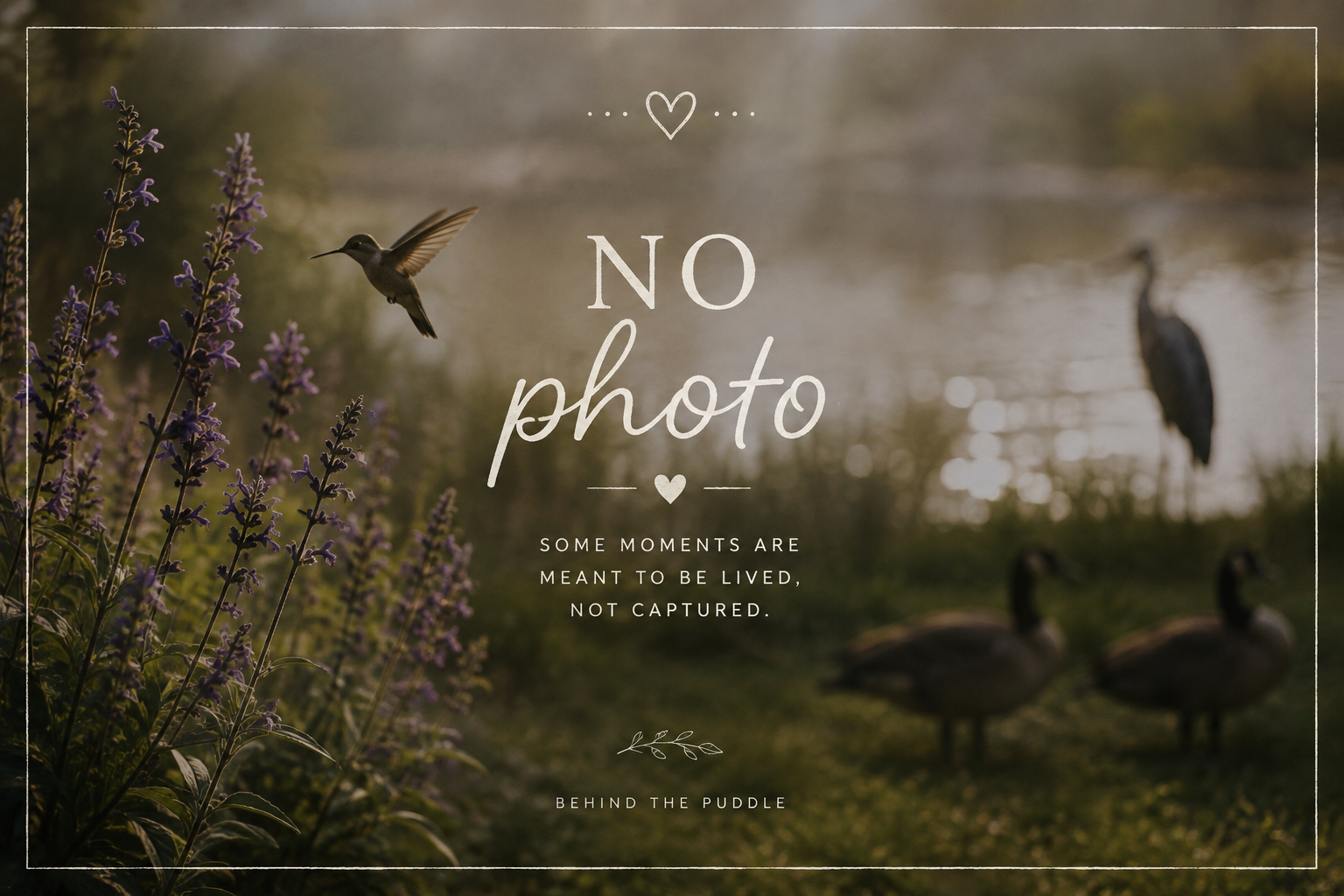 The Photograph I Didn’t Take