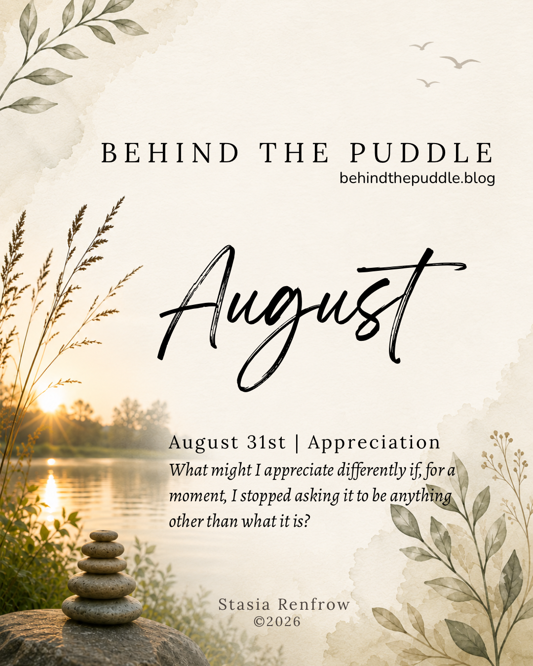 Behind the Puddle | Appreciation