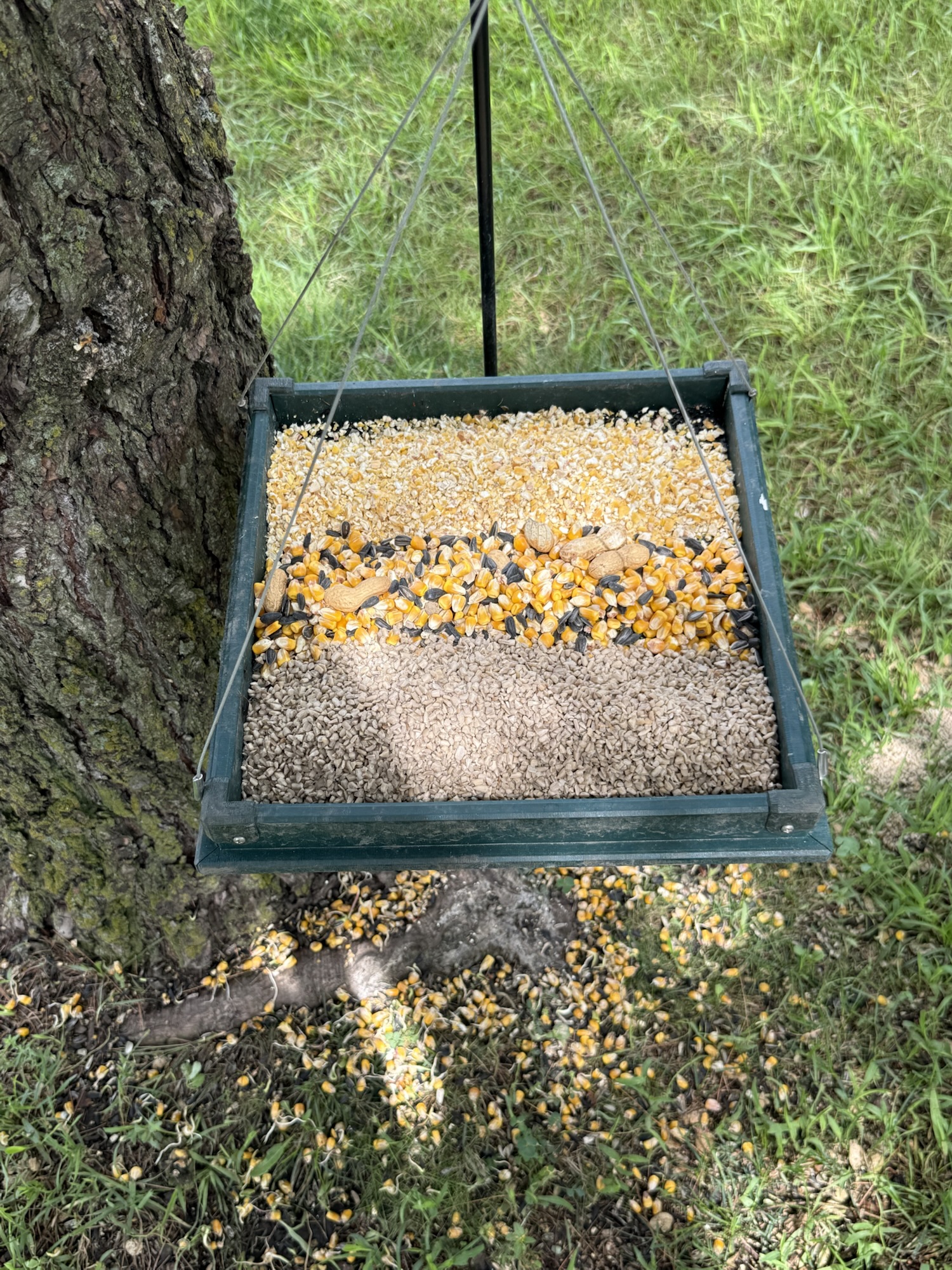 The Community Table | When We Stopped Negotiating With the Birds
