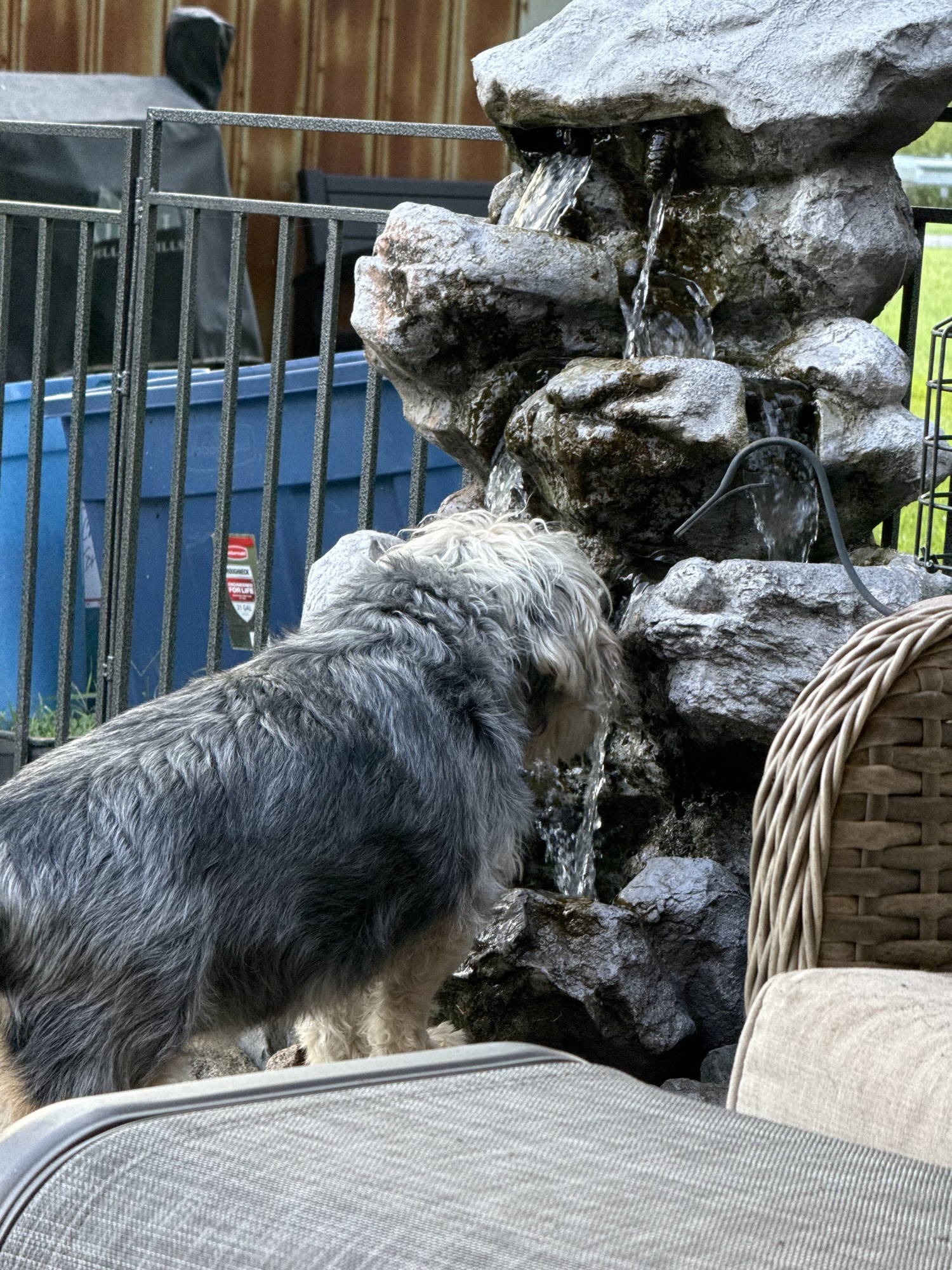 If It’s Good Enough for the Birds