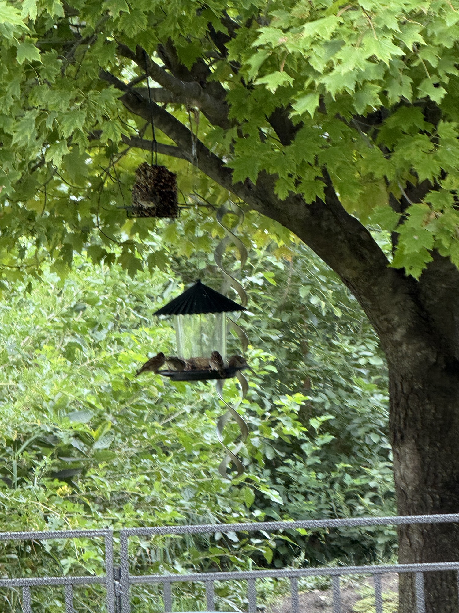 They Came Back Again