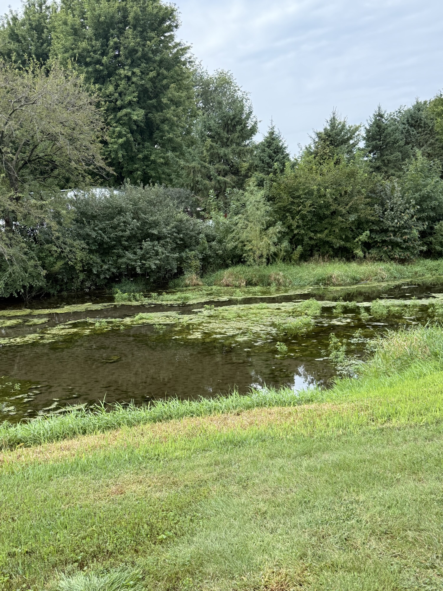 Behind the Puddle | Apparently, the Puddle Was Listening